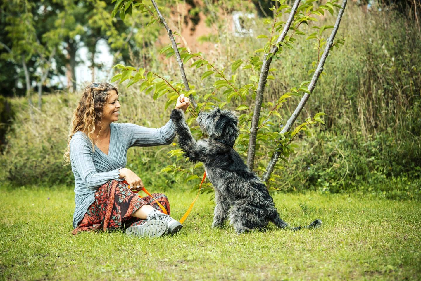 hund og kvinde i park