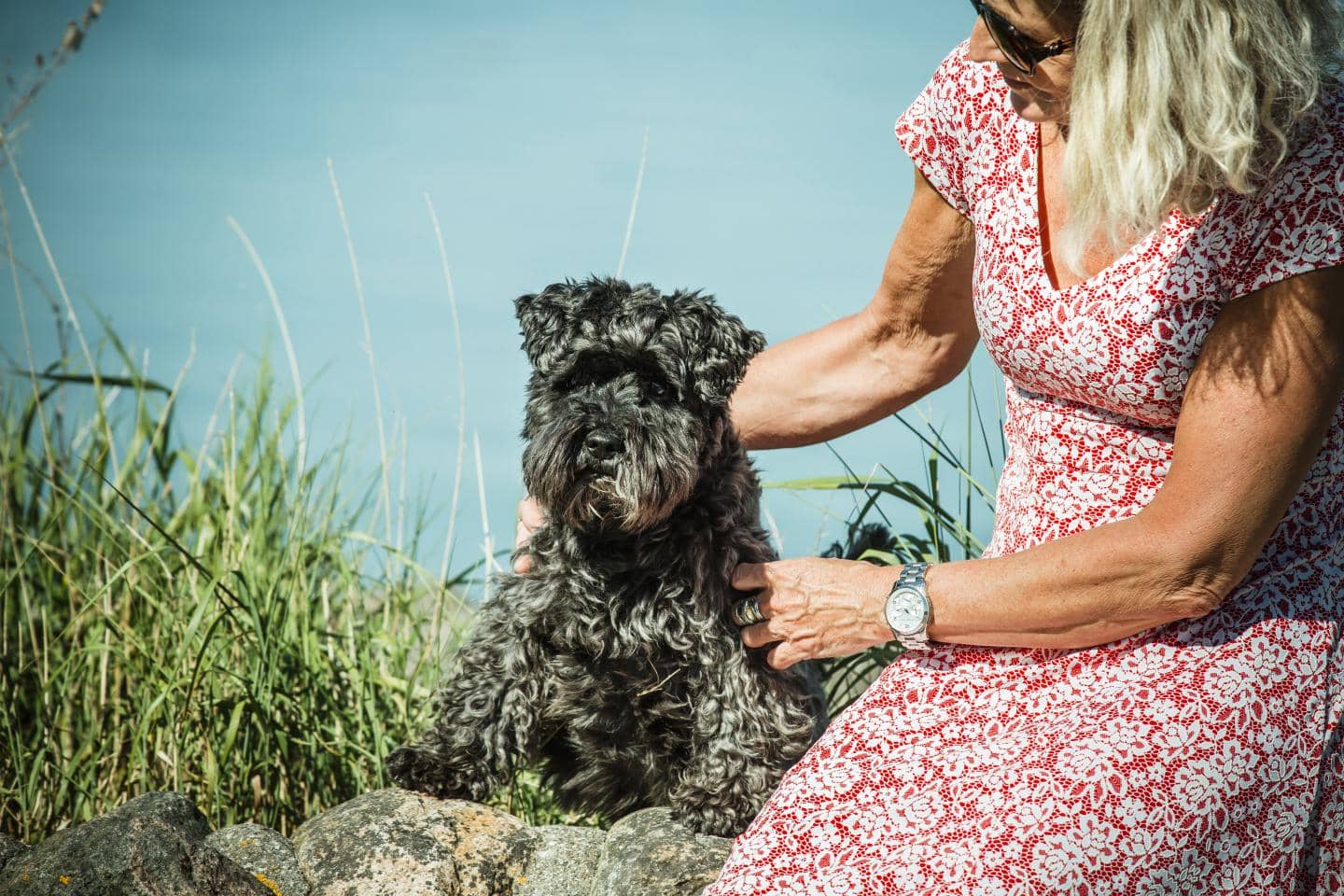 dame og hund